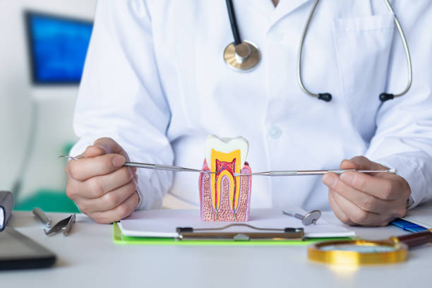 Best Dentist for Dental Trauma  in Waxahachie, TX